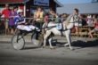 Niclas og Grånette vinder ponyløbet d. 29.06.10. Stort tillykke.